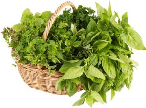Fresh_herbs